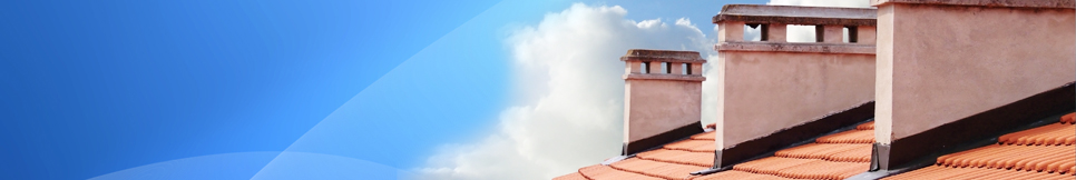 Banner - Bernhard Haselbauer